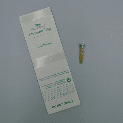 AA Carpet Beetle Kit (Attagenus & Anthrenus) - (Trap & Bullet Lure)