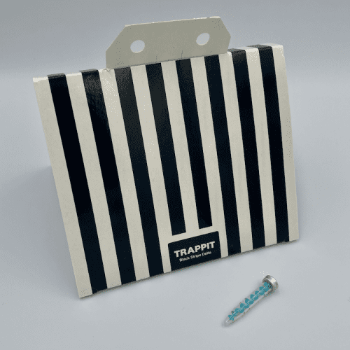 Clothes Moth Kit – Webbing & Case-making Moths - T. bisselliella & T. pelionella (Trap & Bullet Lure)